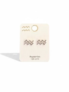 Aquarius Astrological Zodiac Sign Rhinestone Silver Earrings Jan 20 - Feb 18